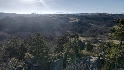 DJI_2393.JPG